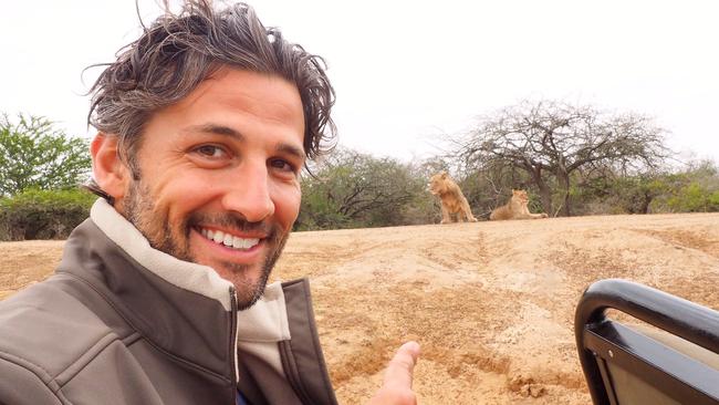 Lions were just metres away. Picture: Tim Robards