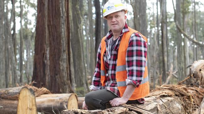 NEWS: Wombat Forest Firewood CuttersWombat Forest Firewood CuttersPICTURED: Dale Tiley in the wombat state forest.Picture: Zoe Phillips