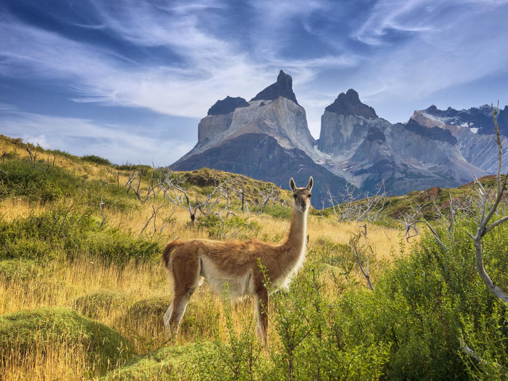 Where to stay in Patagonia   The Australian