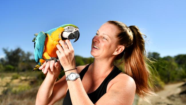 Cherrie Veneman takes her 17 month old Macaw, Blue, down to the Strand and Pallarenda to fly around and say hi to Townsville locals. Picture: Alix Sweeney