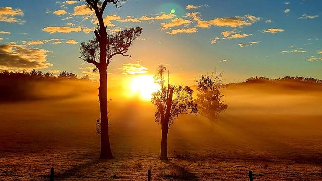 Congratulations to Sharon Hall for winning this week's Cover Image competition for her photo of a beautiful Nymboida sunrise.