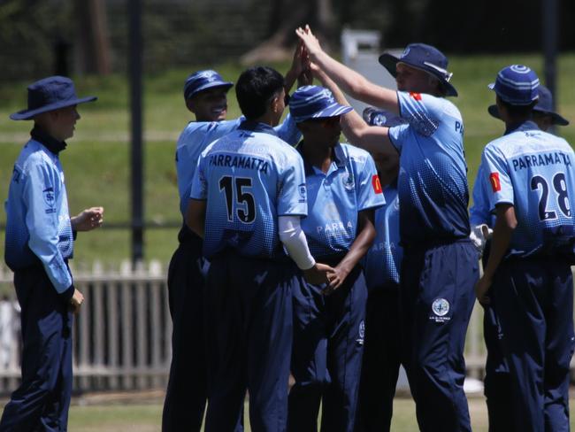 Parramatta celebrate a wicket last season against Gordon. Photo by Warren Gannon Photography.