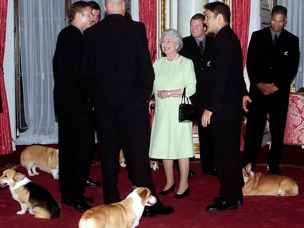 Queen Elizabeth II, with her retinue of corgis, meets the New Zealand All Blacks rugby team at Buckingham Palace in November 2002. Picture: AFP Photo