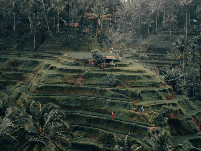 Tegalalang Rice Terrace, Ubud, Bali. Picture: Radoslav/Unsplash