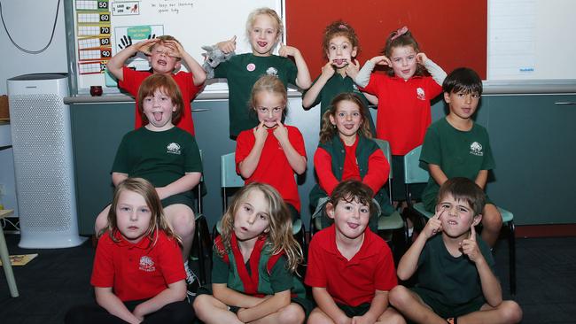 Bellbrae Primary School Foundation FD Back row L-R: Finn Hope, Anastasia Hennessy, Lucia Larsen, Olive Infield. Middle row: Jasper Jones, Sia Davidson, Lucia Johnson, Sonny Cassar. Front row:Lila Stanley, Maeve Hicks, Sophia Moore, Thomas Equid.