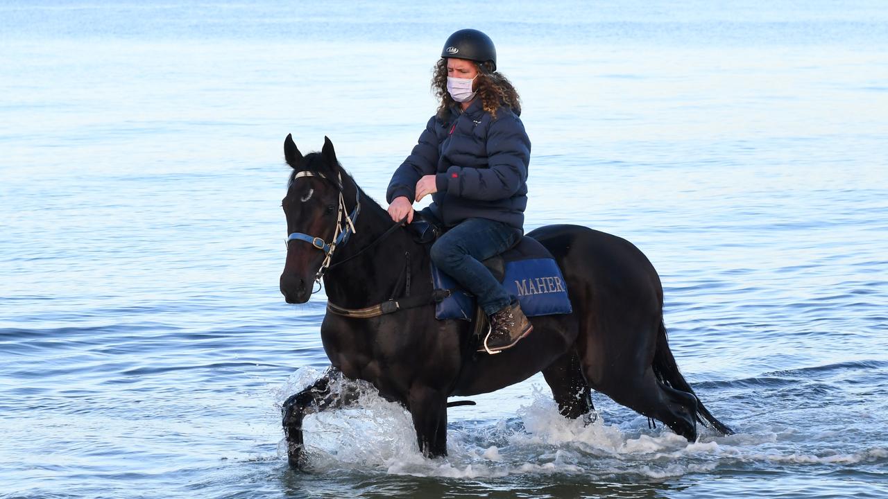 Beach Trackwork Ahead of Melbourne Cup Carnival