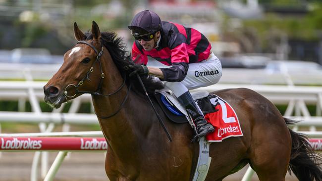 James Orman aboard I Am Artie for trainer Paul Jenkins. Picture: Racing Queensland.