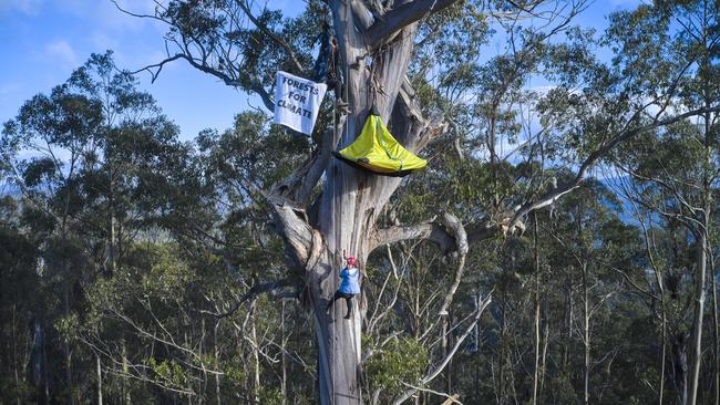 Bob Brown Foundation protesters occupy an area in the Styx Valley due to be logged by Sustainable Timber Tasmania. Picture: Supplied