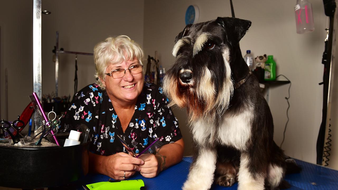 Pet grooming business Gorgeous Grooming reopens in Idalia | Townsville ...