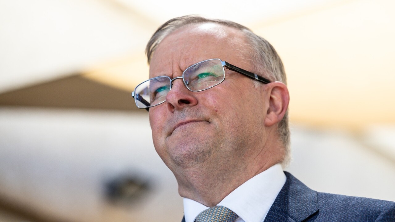 Albanese: Labor wants to 'change the representation' in Western Australia