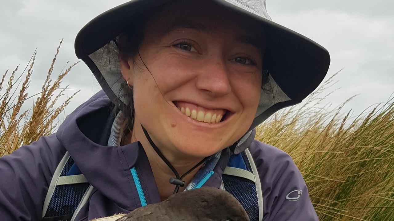 University of Tasmania marine scientist Dr Lauren Roman, urged beachgoers not to touch the birds but to immediately report any unusual bird deaths. Picture: University of Tasmania