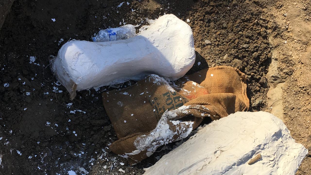 One of the bones found at the dig site. Picture: Contributed