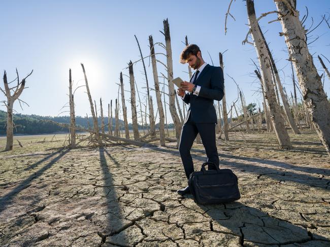 The loss of forests could unleash even faster global warming.