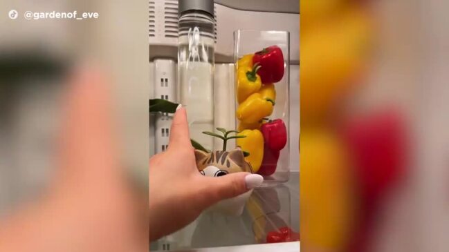 How One Woman's Perfectly Arranged Fridge is Breaking the Internet