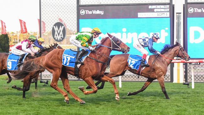 Lievore, a winner two starts back at The Valley, pulled up with a throat condition which might have affected her performance. Picture: Brett Holburt–Racing Photos