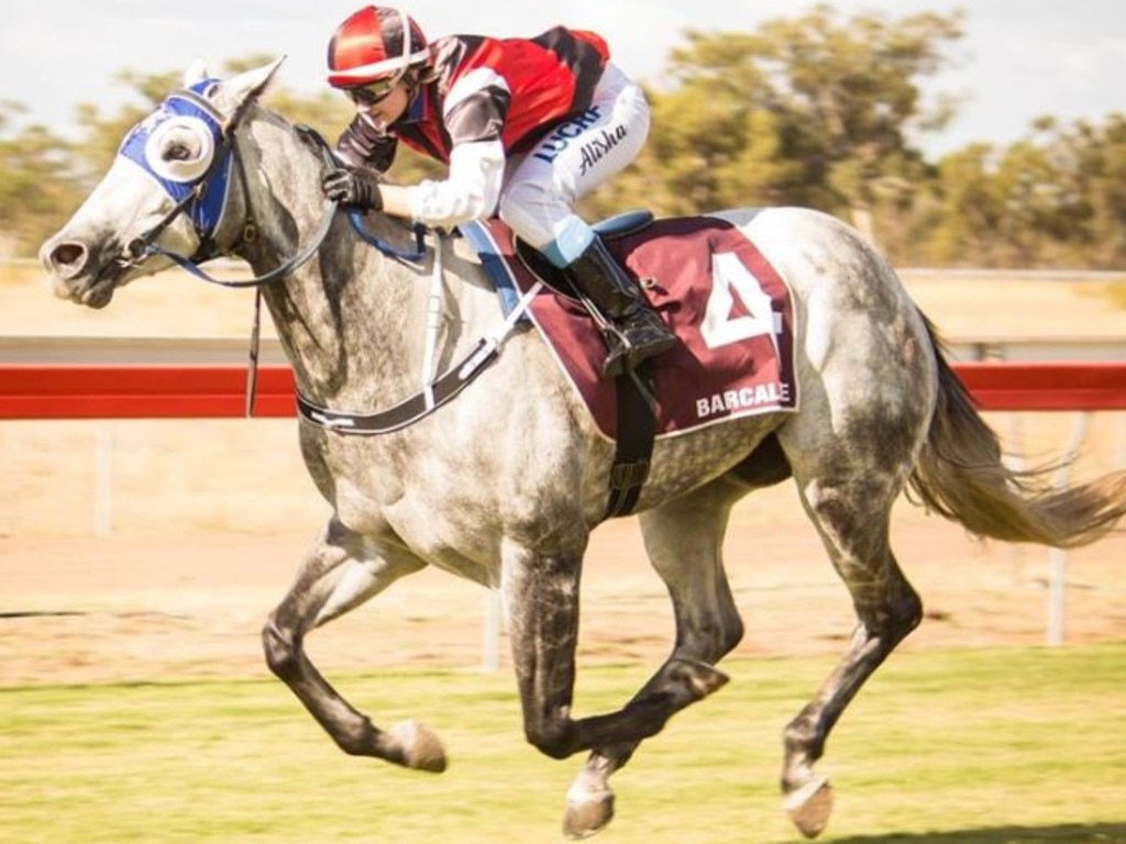 QRIC Media Release: Racing integrity staffer's horse hobby