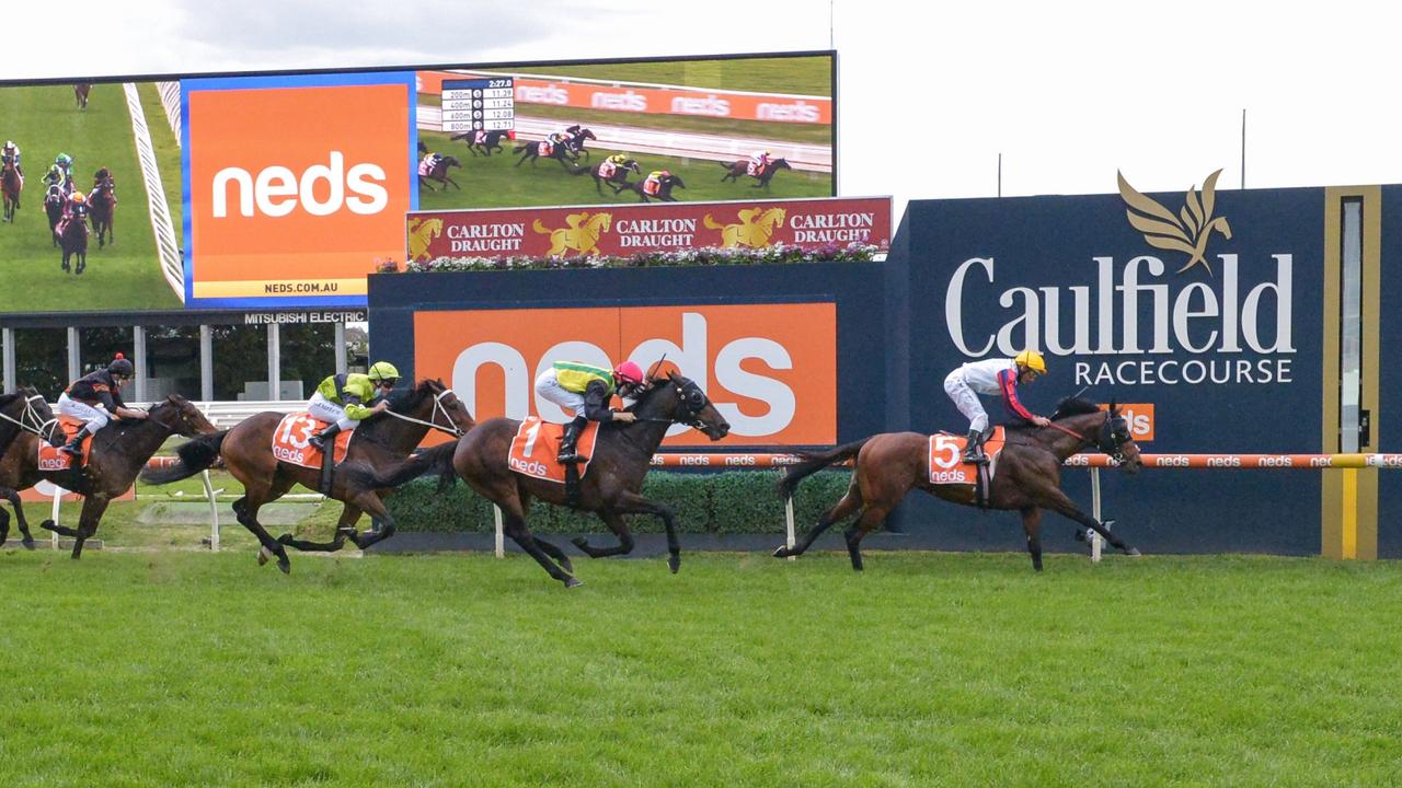 Herbert Power winner Delphi (IRE) is another Caulfield Cup contender drawn wide. Picture: Reg Ryan/Racing Photos via Getty Images