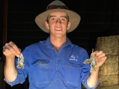 Jackaroo Charlie Rigby said Warren was the "centre" of the state's mouse plague and the mice had ruined "thousands and thousands" of dollars worth of grain and hay. Images supplied