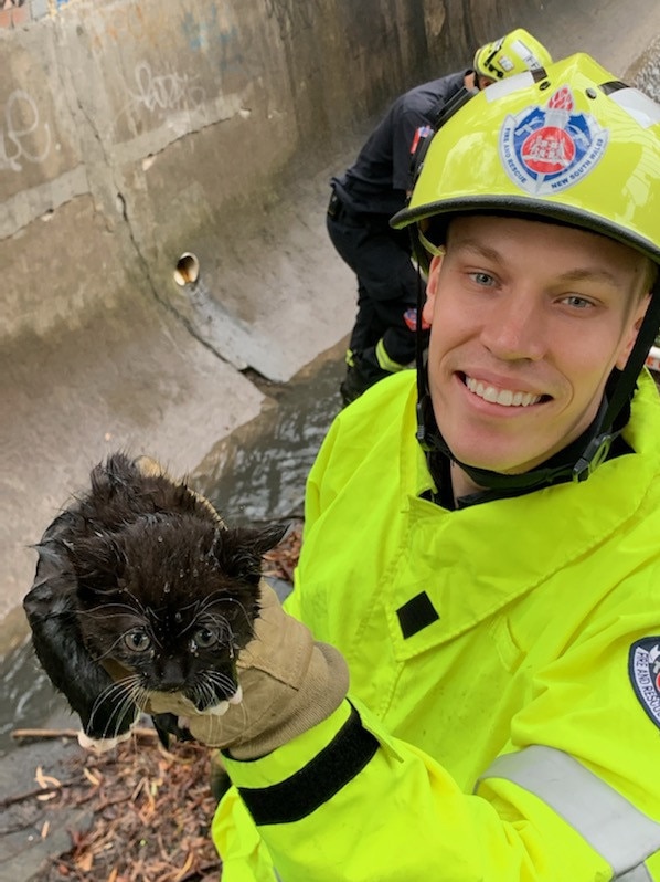 Ben McCaskill managed to give the cat a quick cuddle before taking it to the RSPCA.