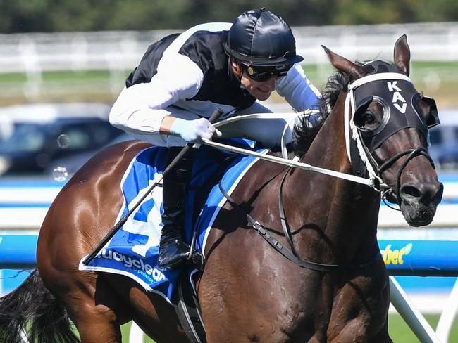 First Immortal ridden by Blake Shinn wins the Quayclean Anniversary Vase at Caulfield Racecourse on March 16, 2024 in Caulfield, Australia. (Photo by Pat Scala/Racing Photos via Getty Images)