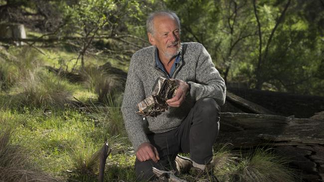 November 2019: Nick Mooney, wildlife expert, checks camera traps used for wildlife monitoring. Central Highlands Tasmania.