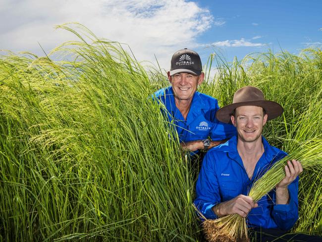 FARM: Outback HarvestFather Shane and son Fraser and McNaul run Outback Harvest, value-adding their crop of teff into a variety of products including flourPictured: Shane and Fraser McNaul in their teff crop.PICTURE: ZOE PHILLIPS