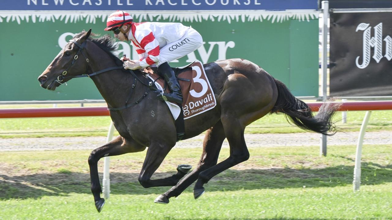 Pushy winning at Newcastle on Newcastle Gold Cup day. Photo: Bradley Photos.