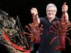 Tassie fishermen keeping up with cray-zy season