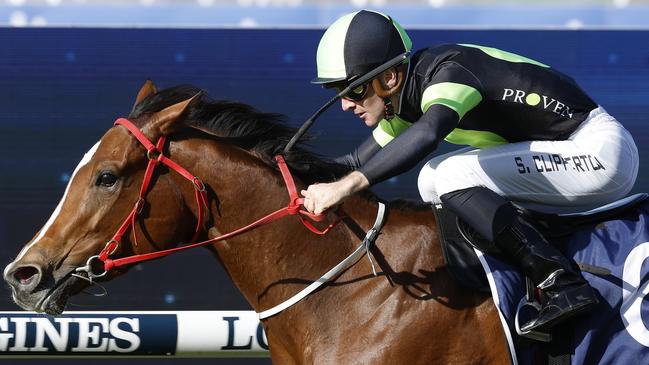 Sam Clipperton partners Superargo for trainer Stephen O’Halloran. Picture: Getty Images
