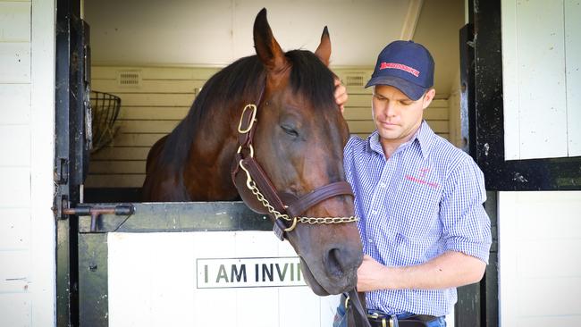 I Am Invincible is sire to over 500 foals, with more than 380 of those going on to win a huge amount of prizemoney. Picture: Renee Nowytarger 