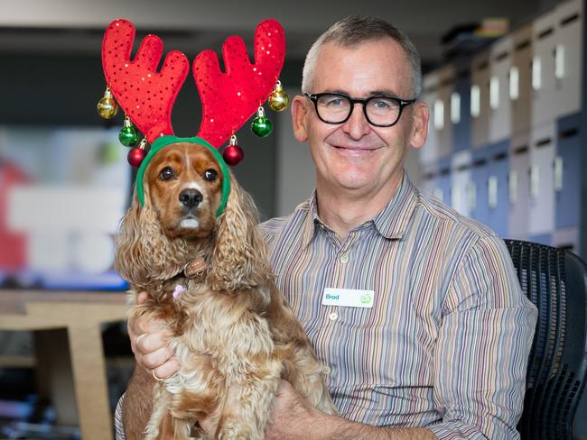 CEO of Woolworths Brad Banducci with his king charles cavalier cocker spaniel cross, Juno. Picture -  Chris Pavlich/Woolworths