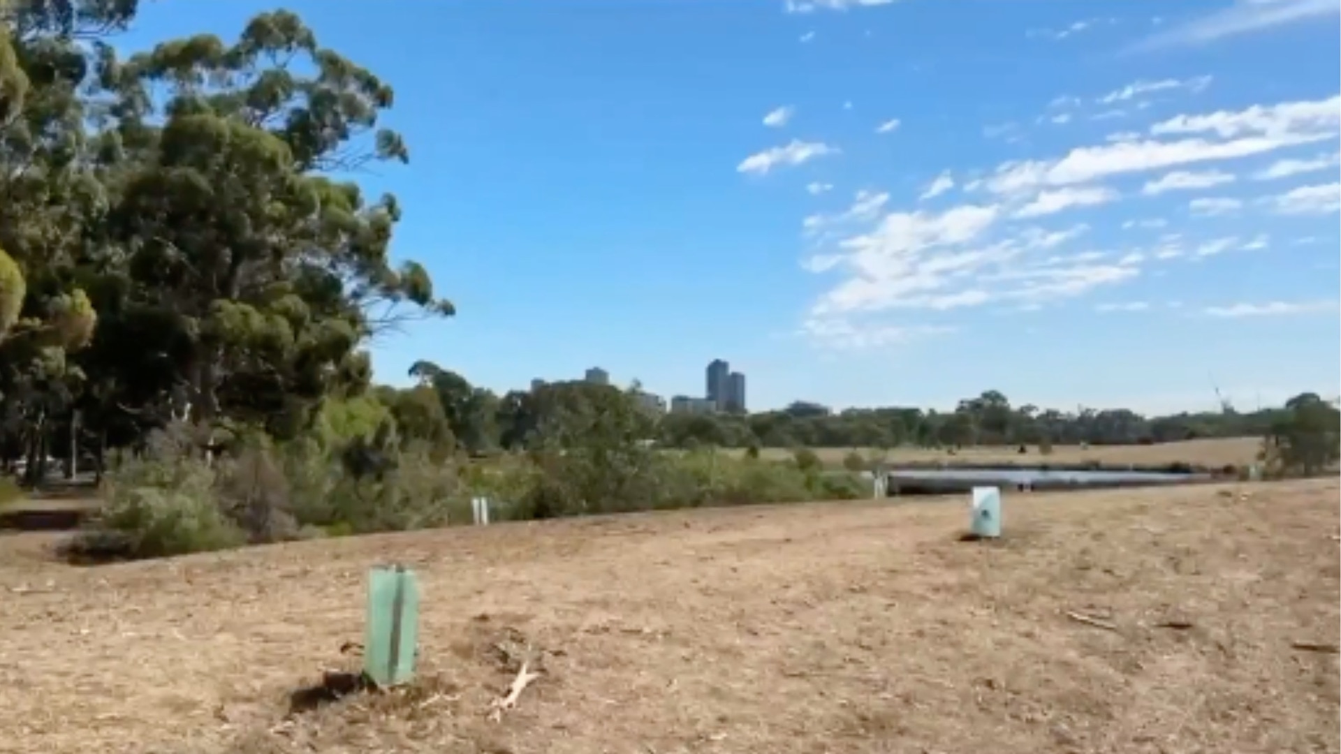 Relief on the way for South Australia's drought-stricken farmers