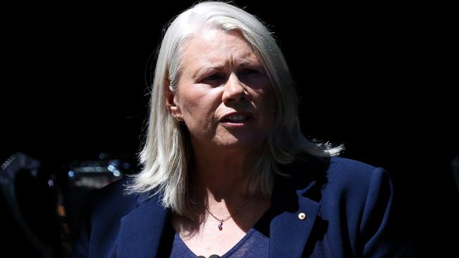 MELBOURNE, AUSTRALIA - NOVEMBER 10: Kate Roffey speaks during the Victoria State Memorial Service Held For Ron Barassi AM at Melbourne Cricket Ground on November 10, 2023 in Melbourne, Australia. Barassi, former VFL player, coach and media personality, passed away on 16th September.  (Photo by Asanka Ratnayake/Getty Images)