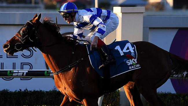 Jockey Dale Smith rides Fit For Purpose to victory in Tattersall's Mile. Picture: AAP
