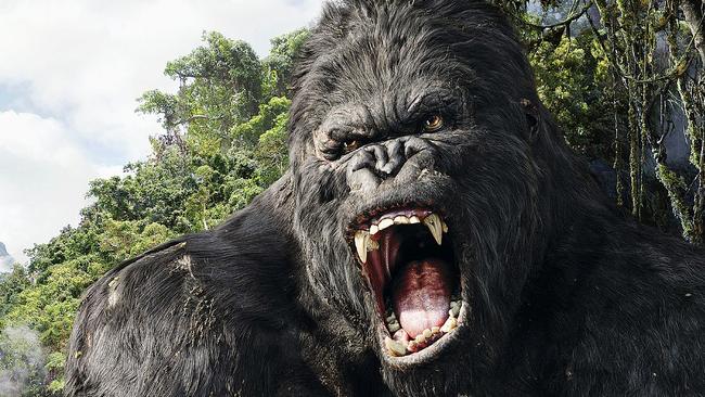 The new King Kong movie will be made on the Gold Coast.