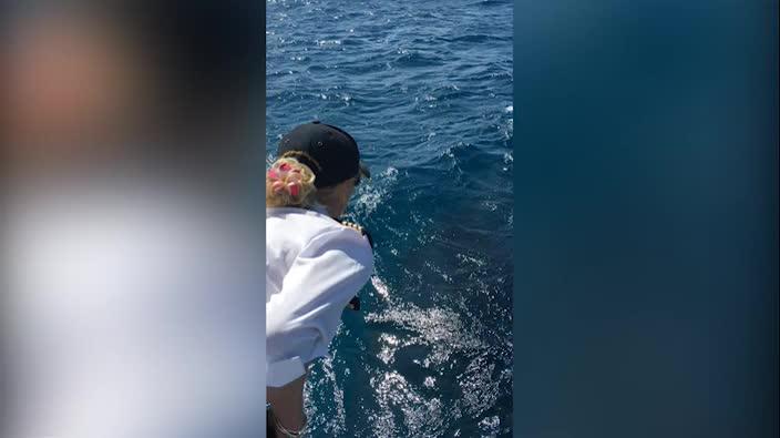 Whales at play in Moreton Bay