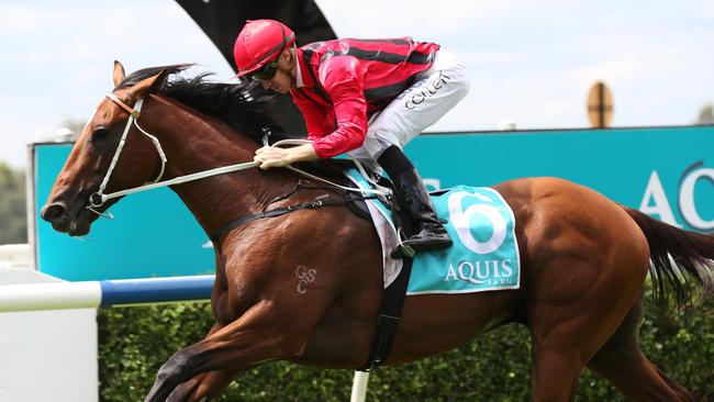 Gem Song handles soft tracks and is good value in the Darby Munro Stakes. Picture: AAP 