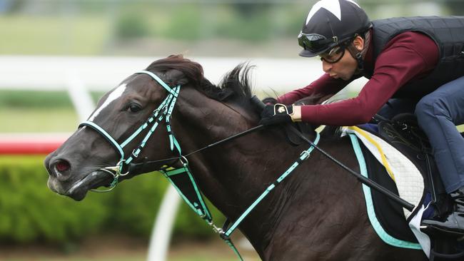 Jockey Joao Moreira put Ascoli Piceno through his paces at Canterbury. Picture: Rohan Kelly.