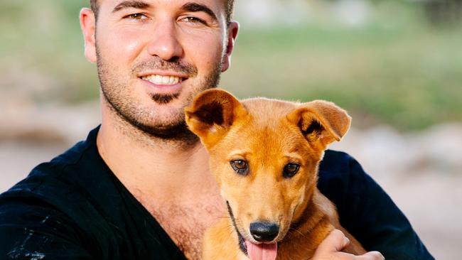 Facts - Dingo Den Animal Rescue