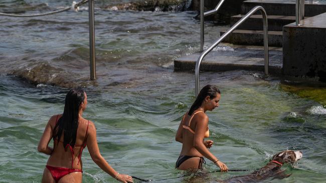 Two women take their dog for a swim at Bondi on Sunday. Picture: NCA Newswire / James Gourley