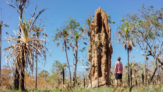 Admiring a huge termite mount in Litchfield National Park. Picture: Tourism NT