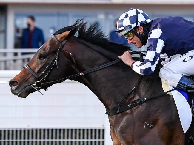 Russian Camelot (IRE) ridden by Damien Oliver wins the Hyland Race Colours Underwood Stakes  at Caulfield Racecourse on September 26, 2020 in Caulfield, Australia. (Reg Ryan/Racing Photos via Getty Images)