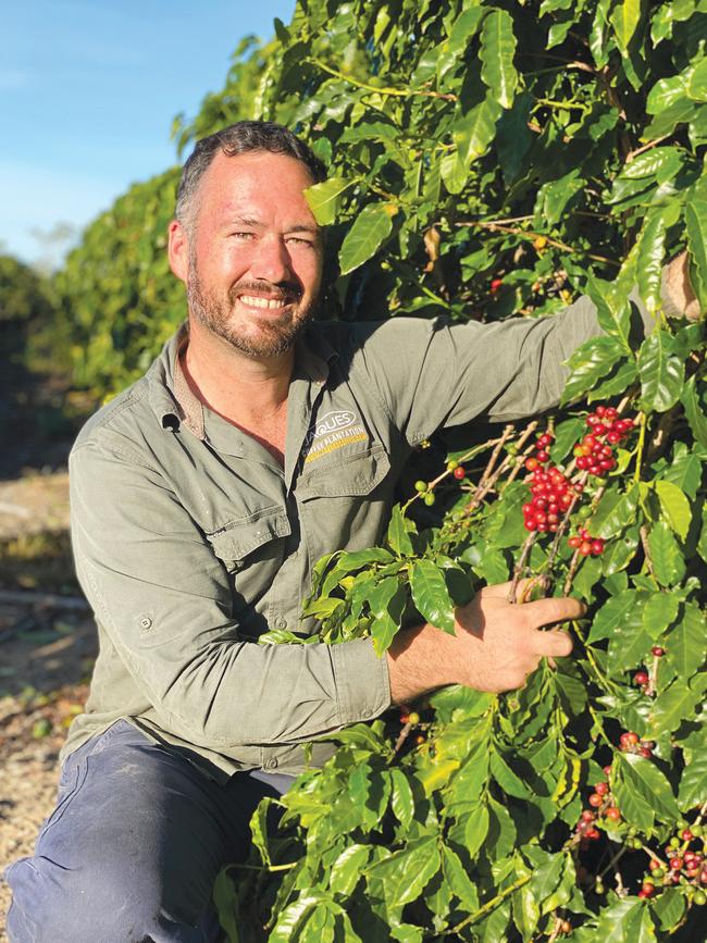 Jason Jaques from Jaques Coffee Plantation