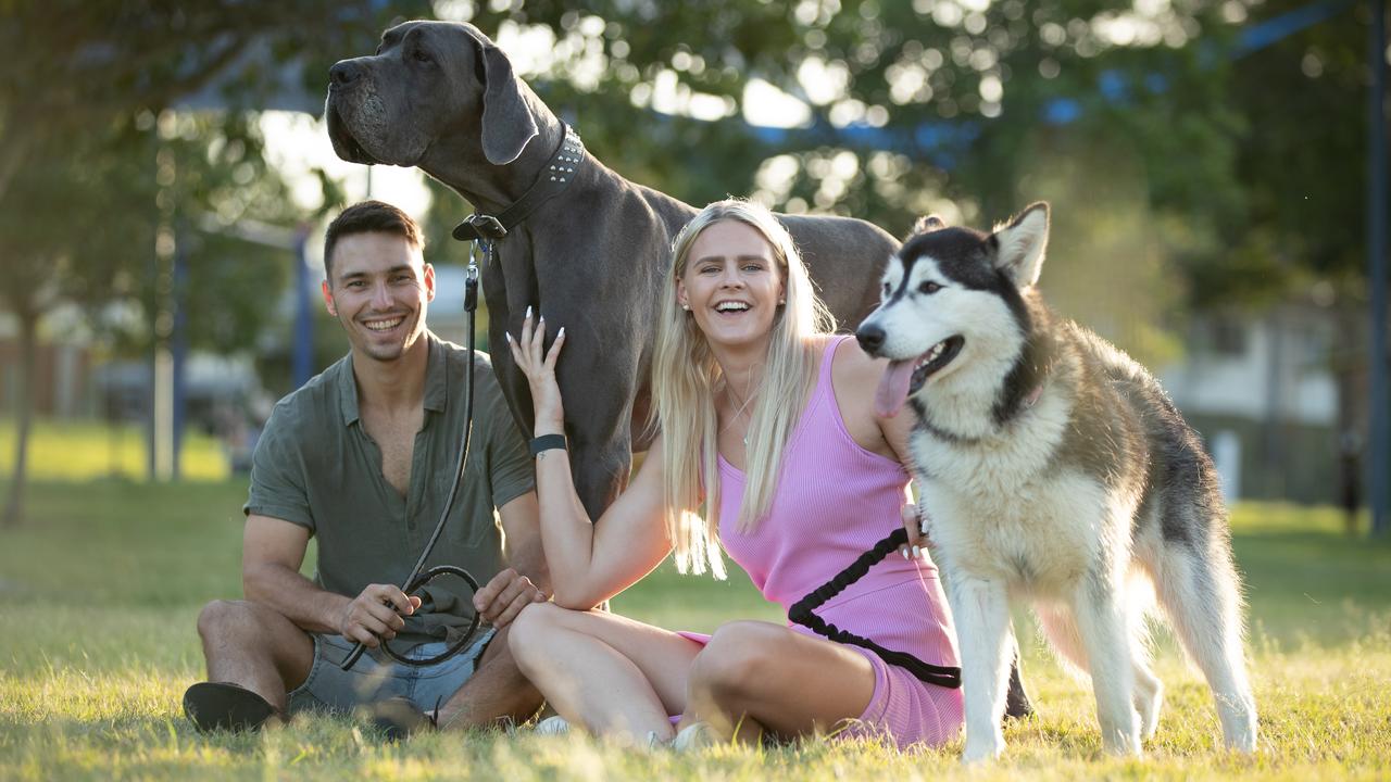 Shayna Jack Joel Rintala with their dogs Hugo and Willa. Picture: David Kelly