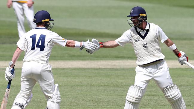 Marcus Harris and Glenn Maxwell batting together for Victoria.