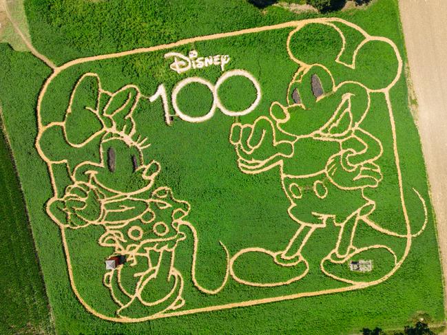 An a-maze-ing drone picture of Disney’s Minnie and Mickey in a field in Bavaria. This image covers about 18,000 square feet and consists of 360,000 plants. Picture: Peter Kneffel via Getty Images