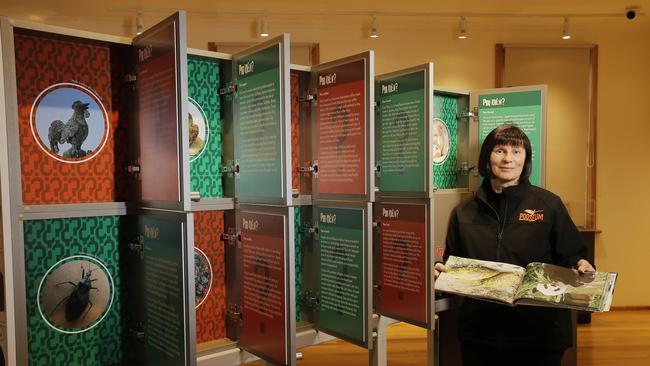 Karin Koch opened the Pooseum in Richmond last year. Picture: MATHEW FARRELL