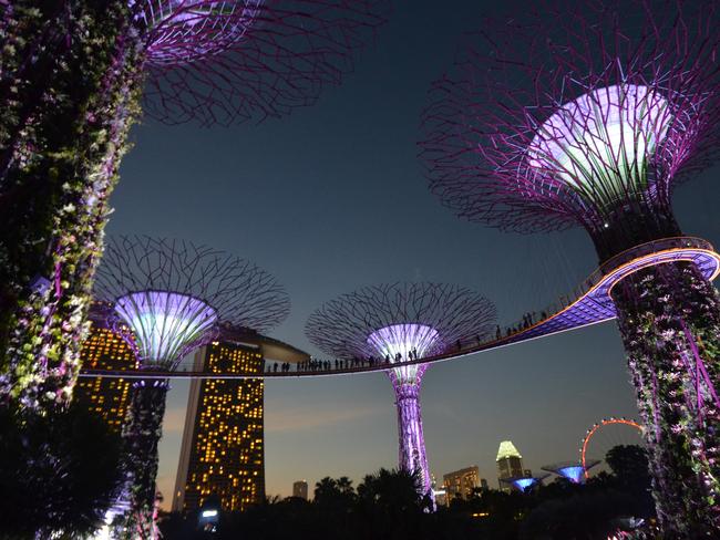 SINGAPORE .. for Neale Maynard story .. Supertrees in Gardens by the Bay, Singapore . Picture: Neale Maynard