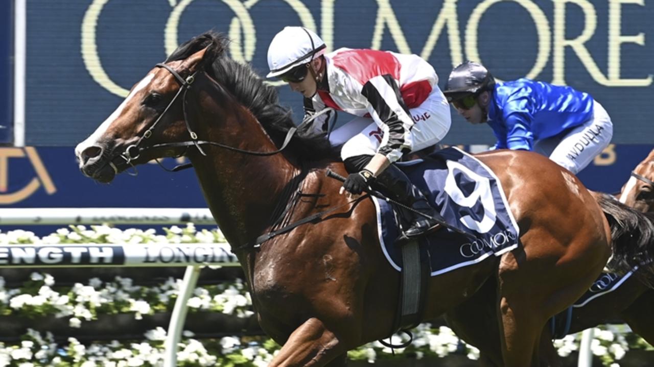 Shayne O’Cass’s tips, analysis for Randwick on Saturday