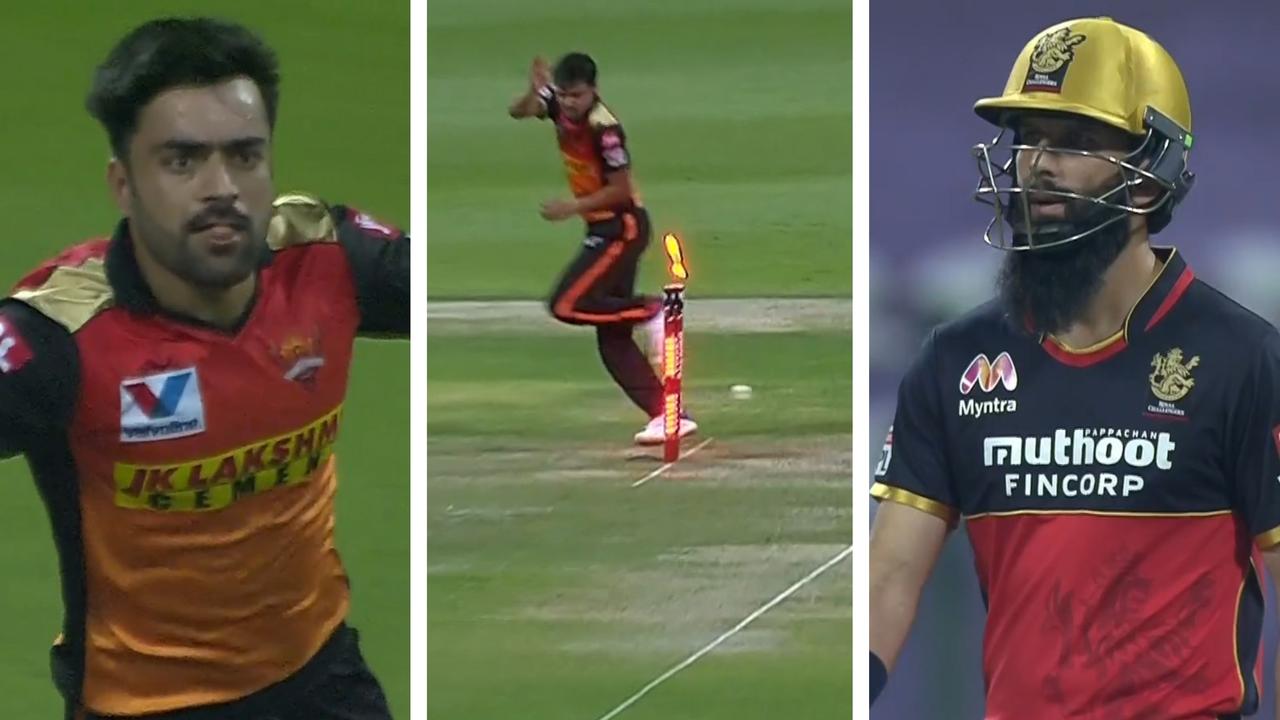 Moeen Ali was run-out by Rashid Khan … on a free hit.